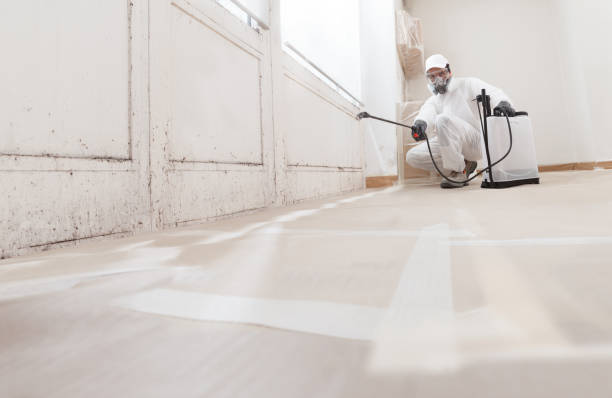 24/7 Emergency Mold Removal experts in Dendron, VA