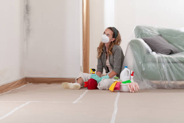 Reliable Mold Removal contractor in Dendron, VA by WQB Mold Removal